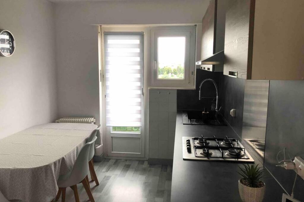Tres Bel Appartement F4 Proche Gare Riedisheim Bagian luar foto
